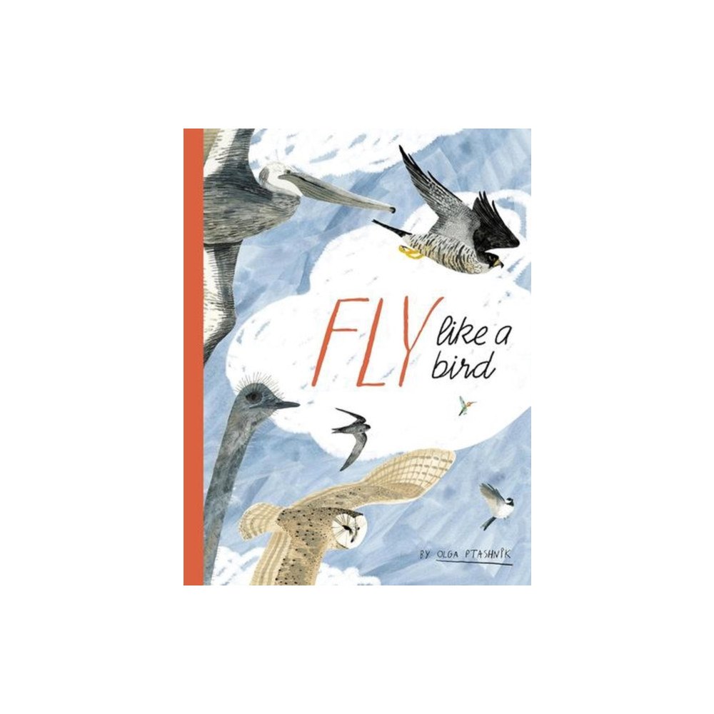 Eerdmans Pub Co Fly Like a Bird (inbunden, eng)