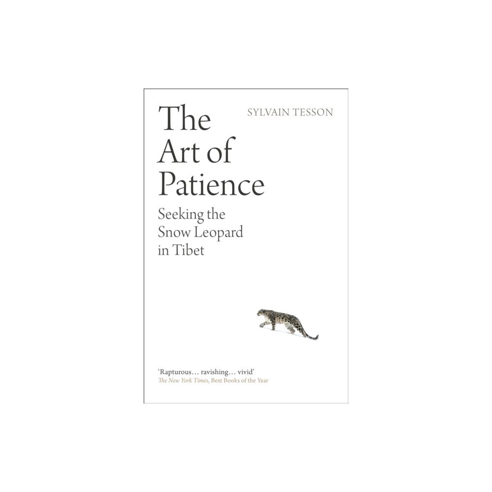 Oneworld Publications The Art of Patience (häftad, eng)