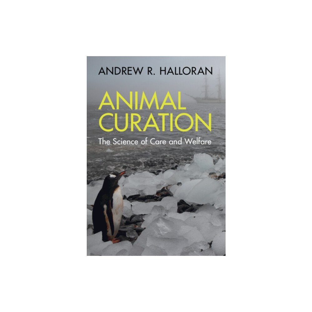 Cambridge University Press Animal Curation (häftad, eng)