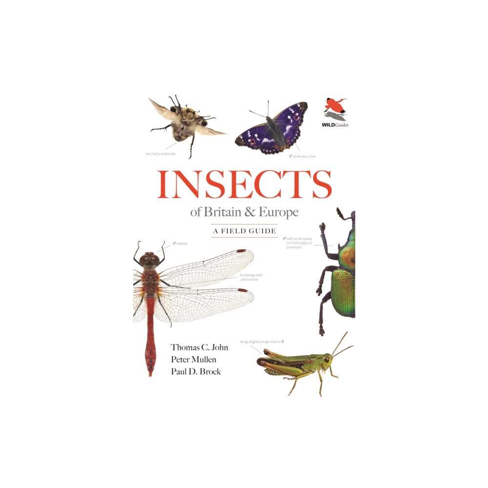 Princeton University Press Insects of Britain and Europe (häftad, eng)
