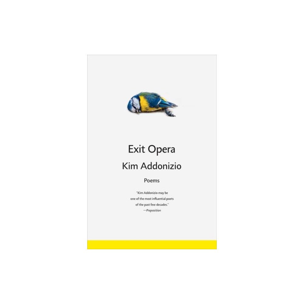 WW Norton & Co Exit Opera (häftad, eng)