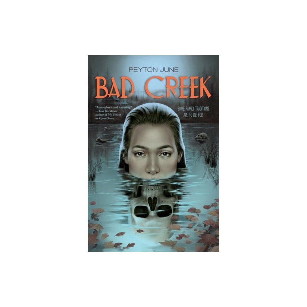 WW Norton & Co Bad Creek (häftad, eng)