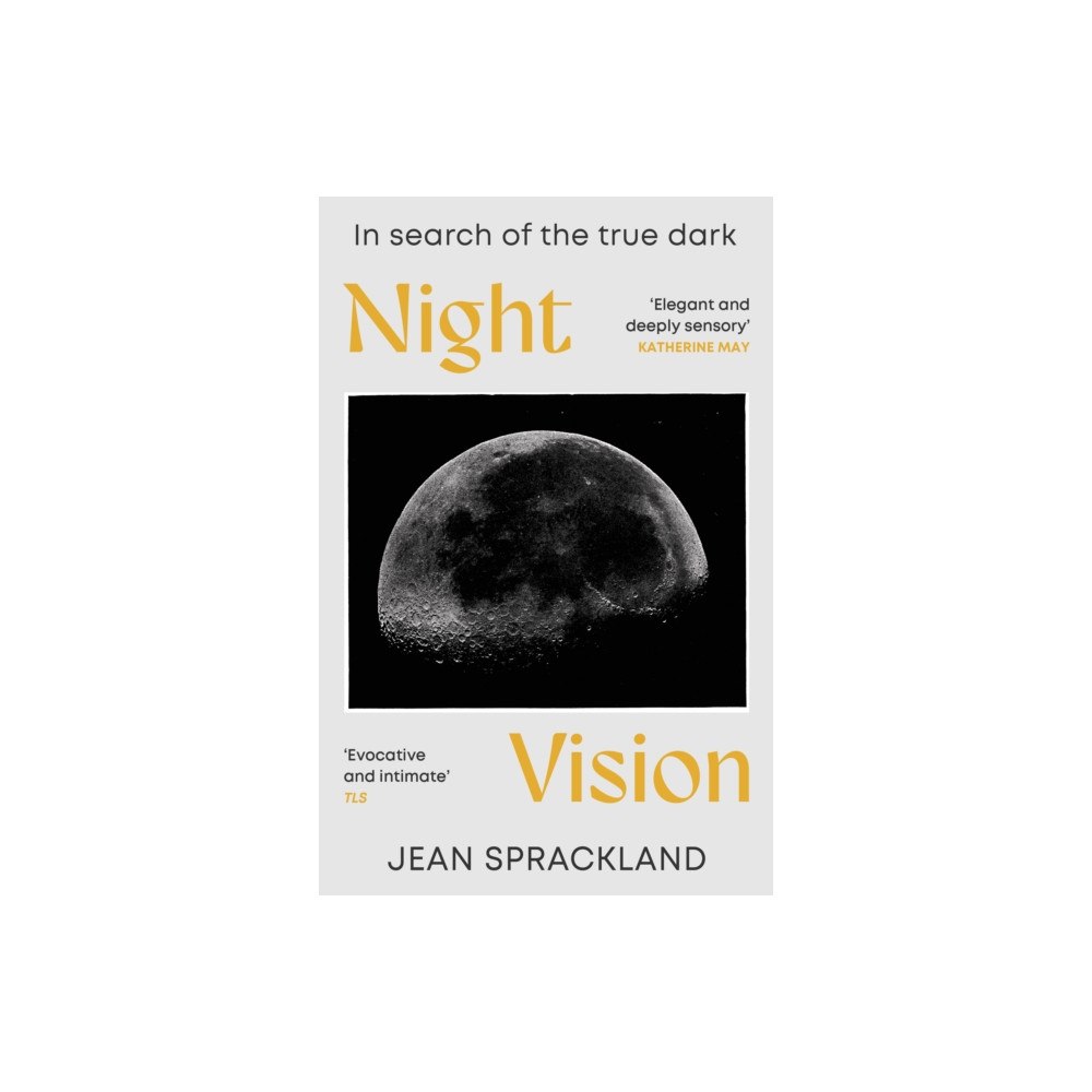 Vintage Publishing Night Vision (häftad, eng)