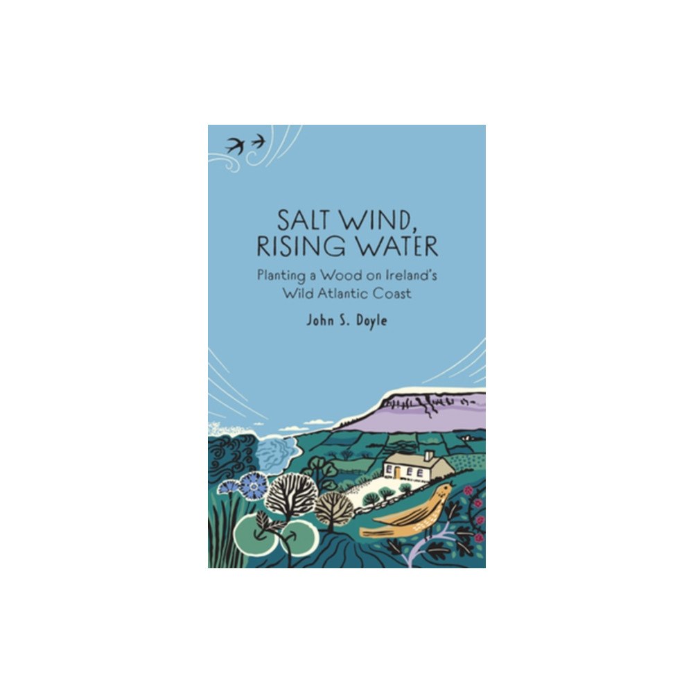 Merrion Press Salt Wind, Rising Water (häftad, eng)