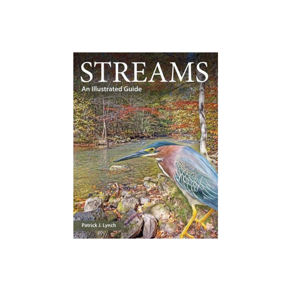 Yale university press Streams (häftad, eng)