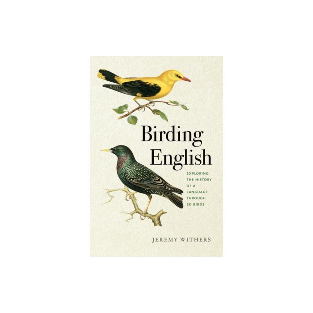 University of Iowa Press Birding English (häftad, eng)