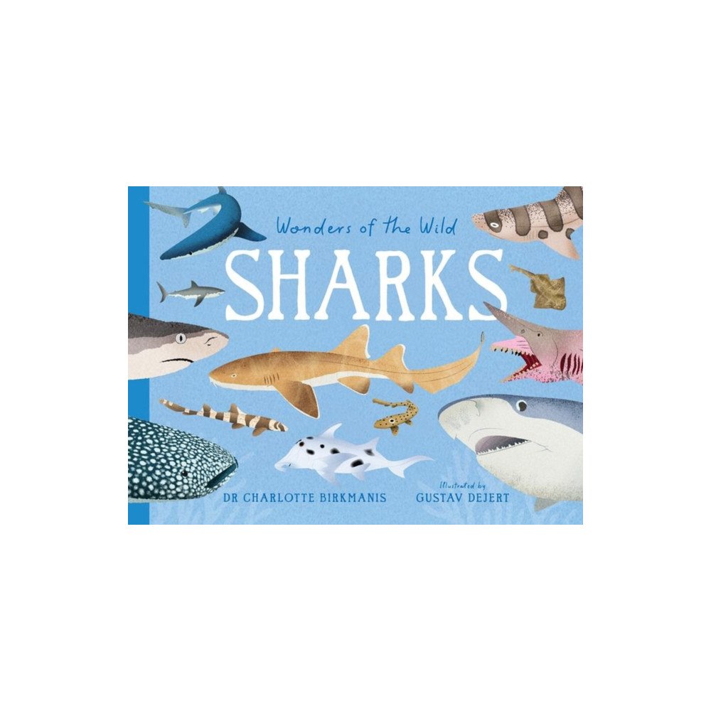 Smith Street Books Wonders of the Wild: Sharks (inbunden, eng)