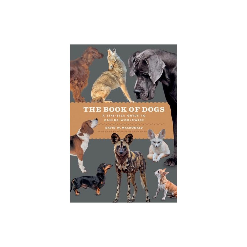 The university of chicago press The Book of Dogs (inbunden, eng)