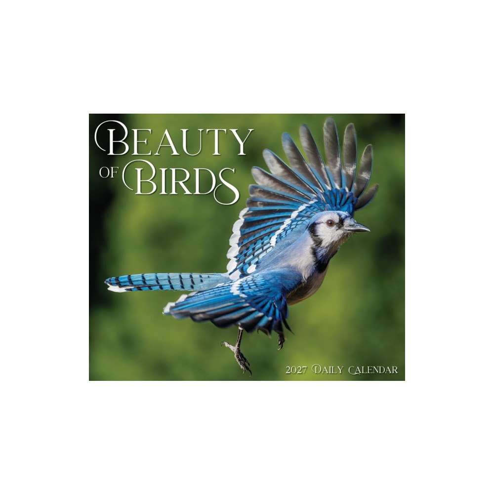 Willow Creek Press Beauty of Birds 2027 Box (häftad, eng)