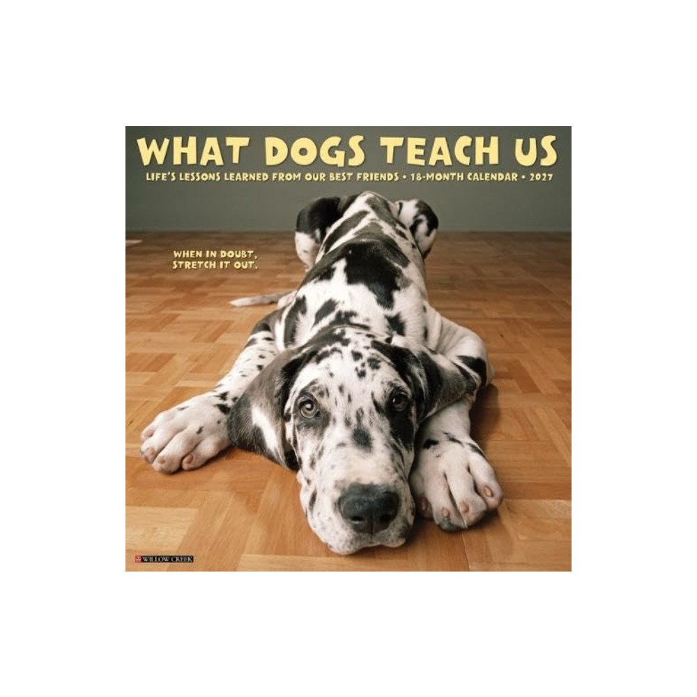 Willow Creek Press What Dogs Teach Us 2027 Wall (häftad, eng)