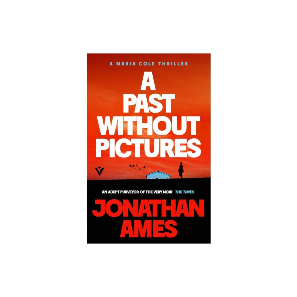 Pushkin Press A Past Without Pictures (häftad, eng)