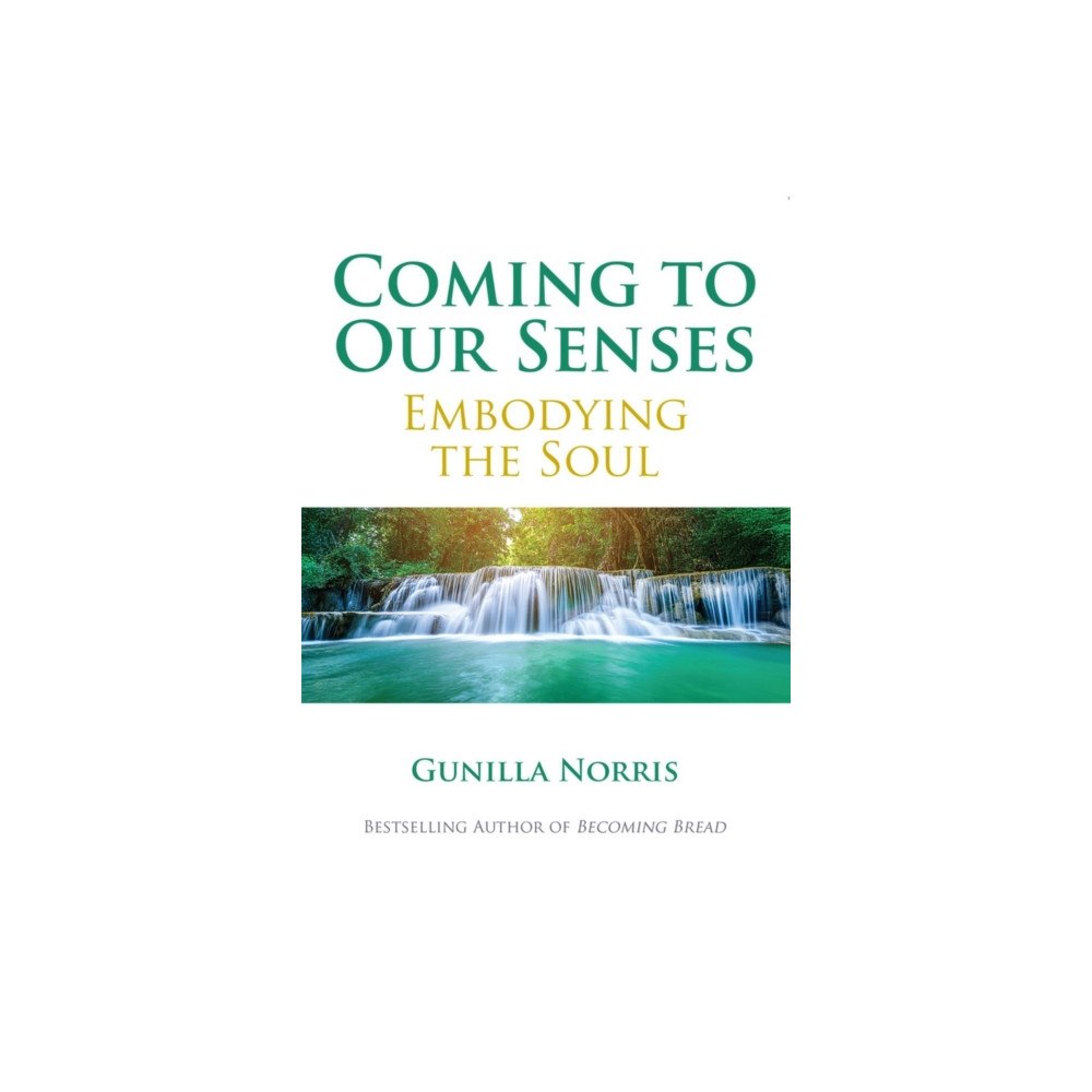 Paulist Press International,U.S. Coming to Our Senses (häftad, eng)