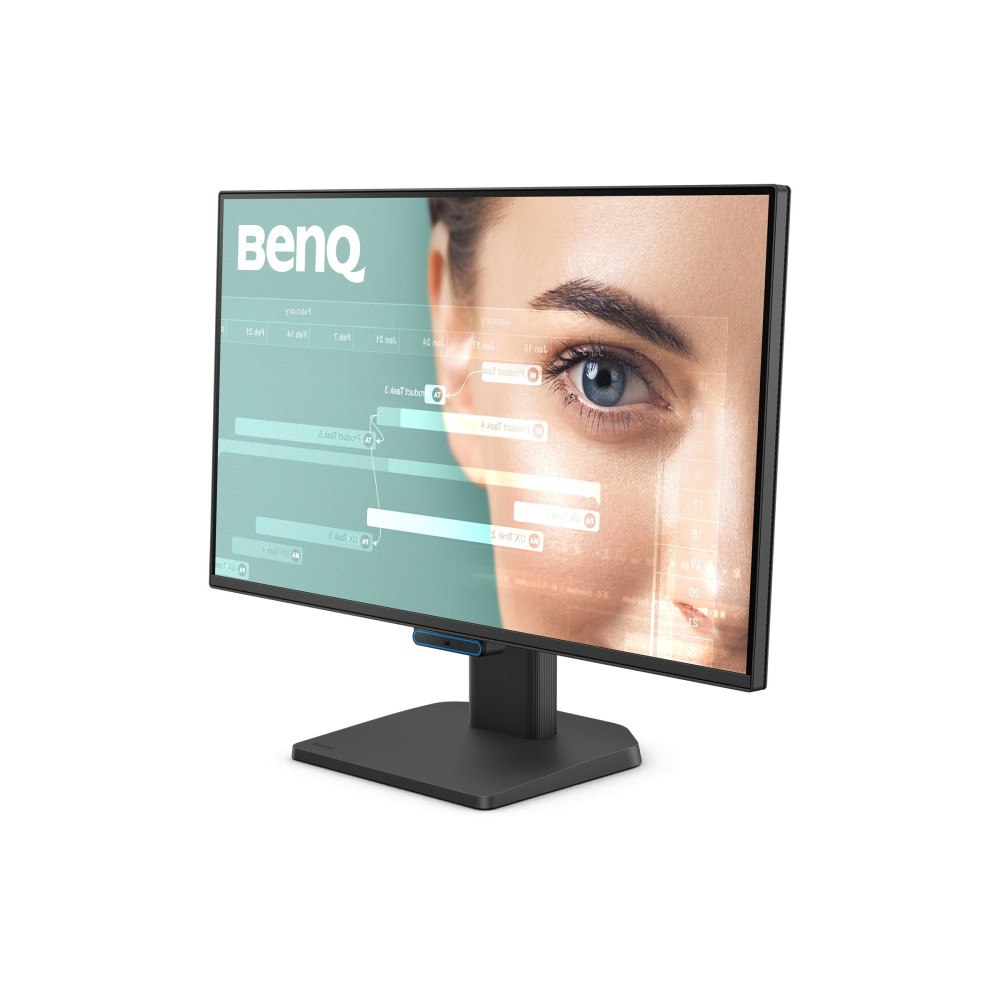 BENQ BenQ GW2490C - LED-skärm - Full HD (1080p) - 24"