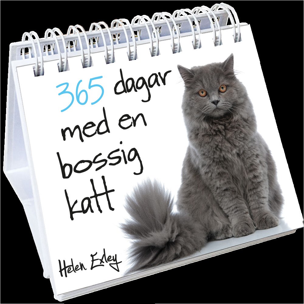 Pam Brown 365 dagar med en bossig katt (bok)