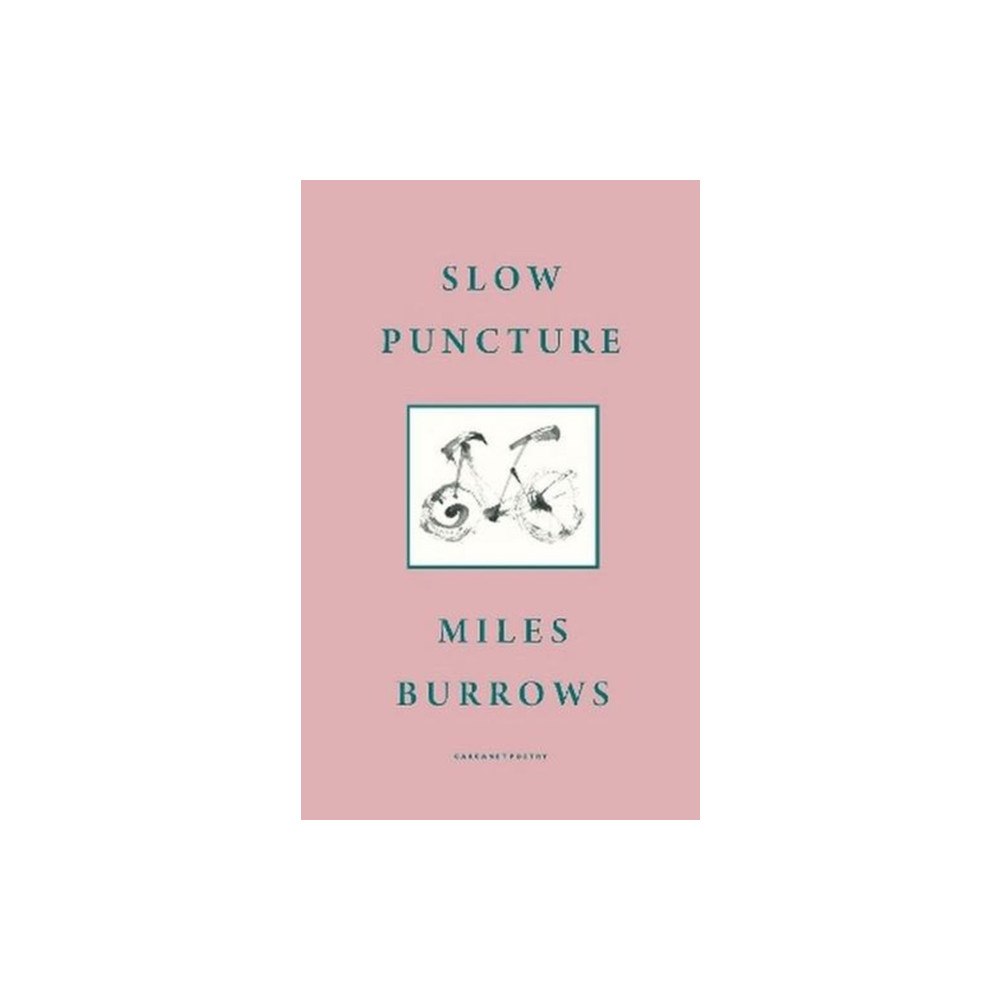 Carcanet Press Ltd Slow Puncture (häftad, eng)