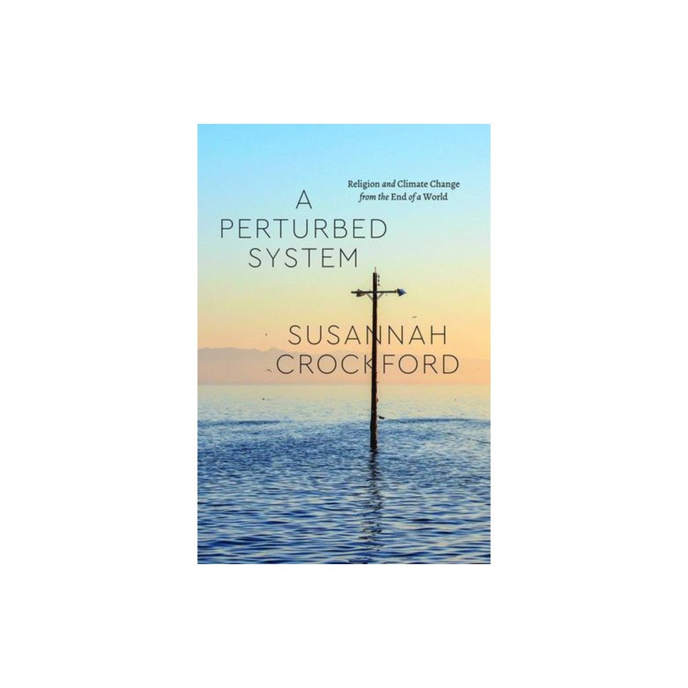 The university of chicago press A Perturbed System (häftad, eng)