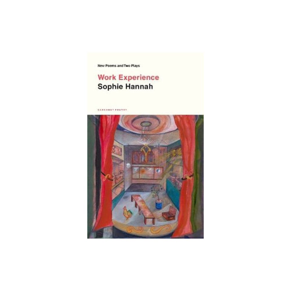 Carcanet Press Ltd Work Experience (häftad, eng)