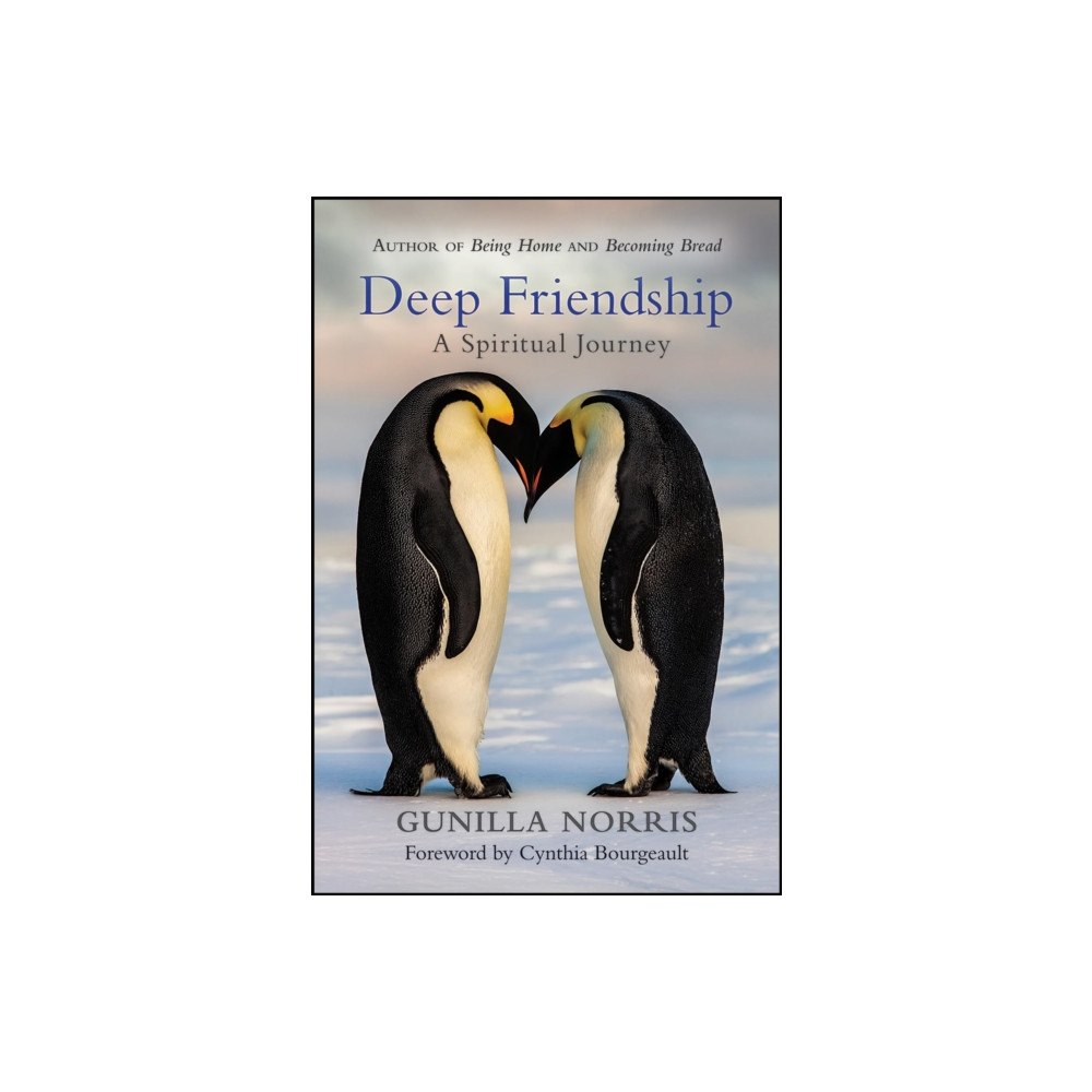 Paulist Press International,U.S. Deep Friendship (häftad, eng)