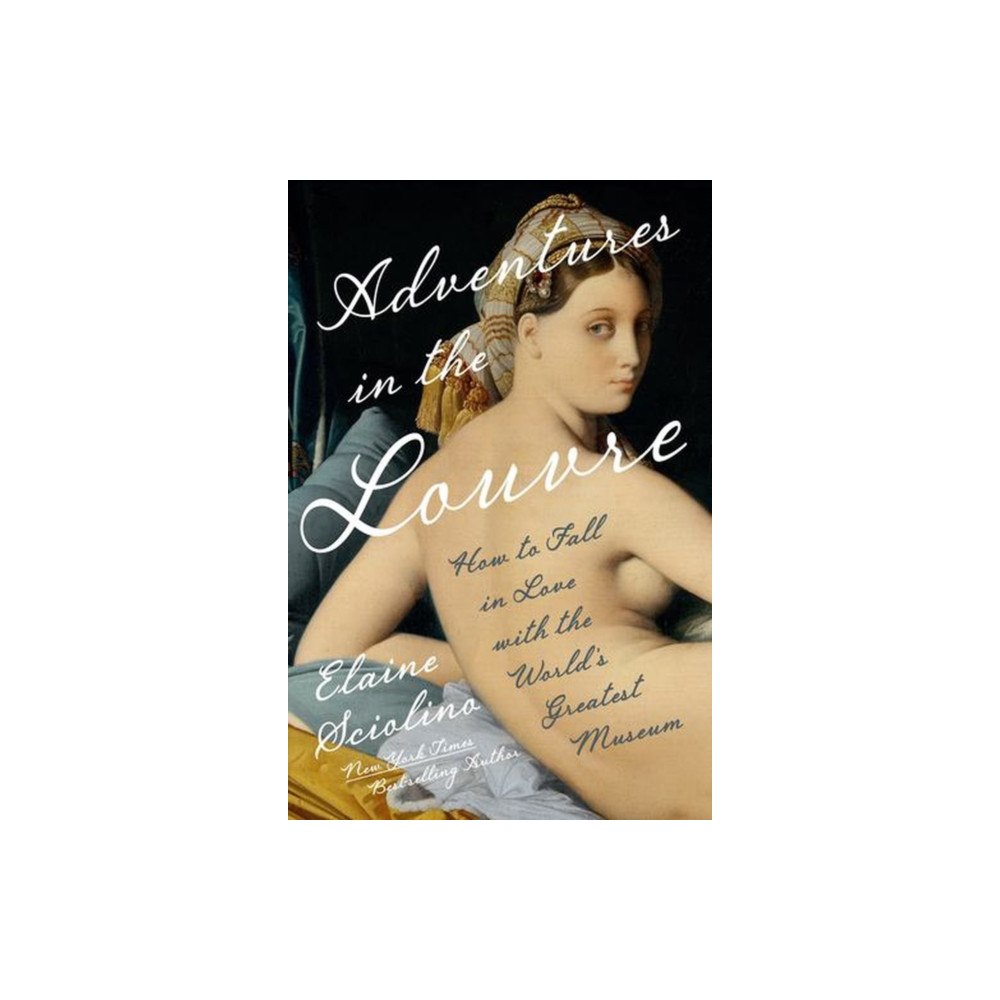 WW Norton & Co Adventures in the Louvre – How to Fall in Love with the World′s Greatest Museum (inbunden, eng)