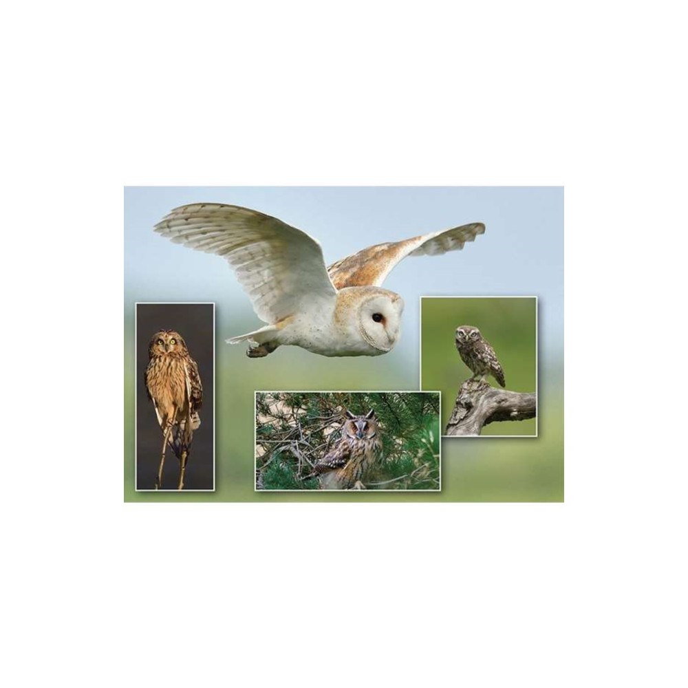 GO ON MAKE ME Owl Montage 1000 Piece Puzzle
