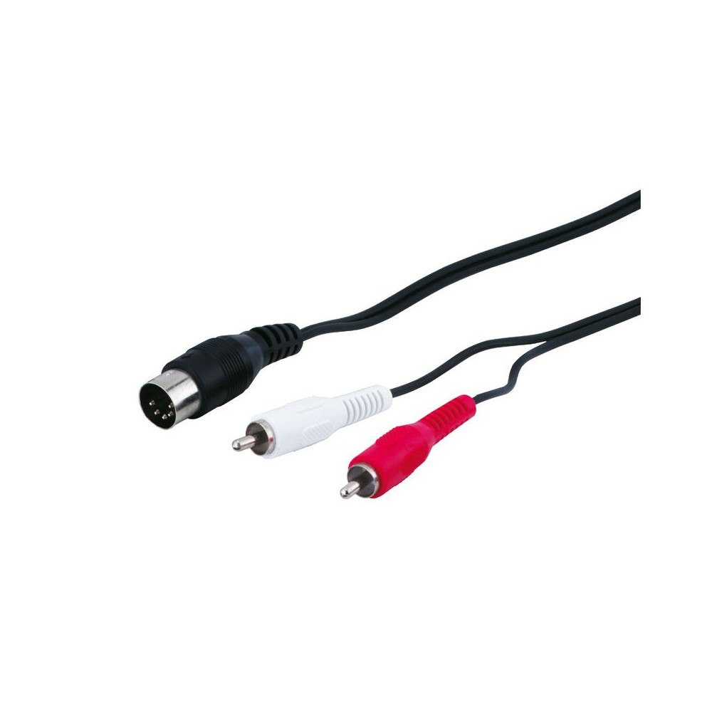 Goobay Goobay 50014, 2 x RCA, hankontakt, DIN (5-polig), hankontakt...
