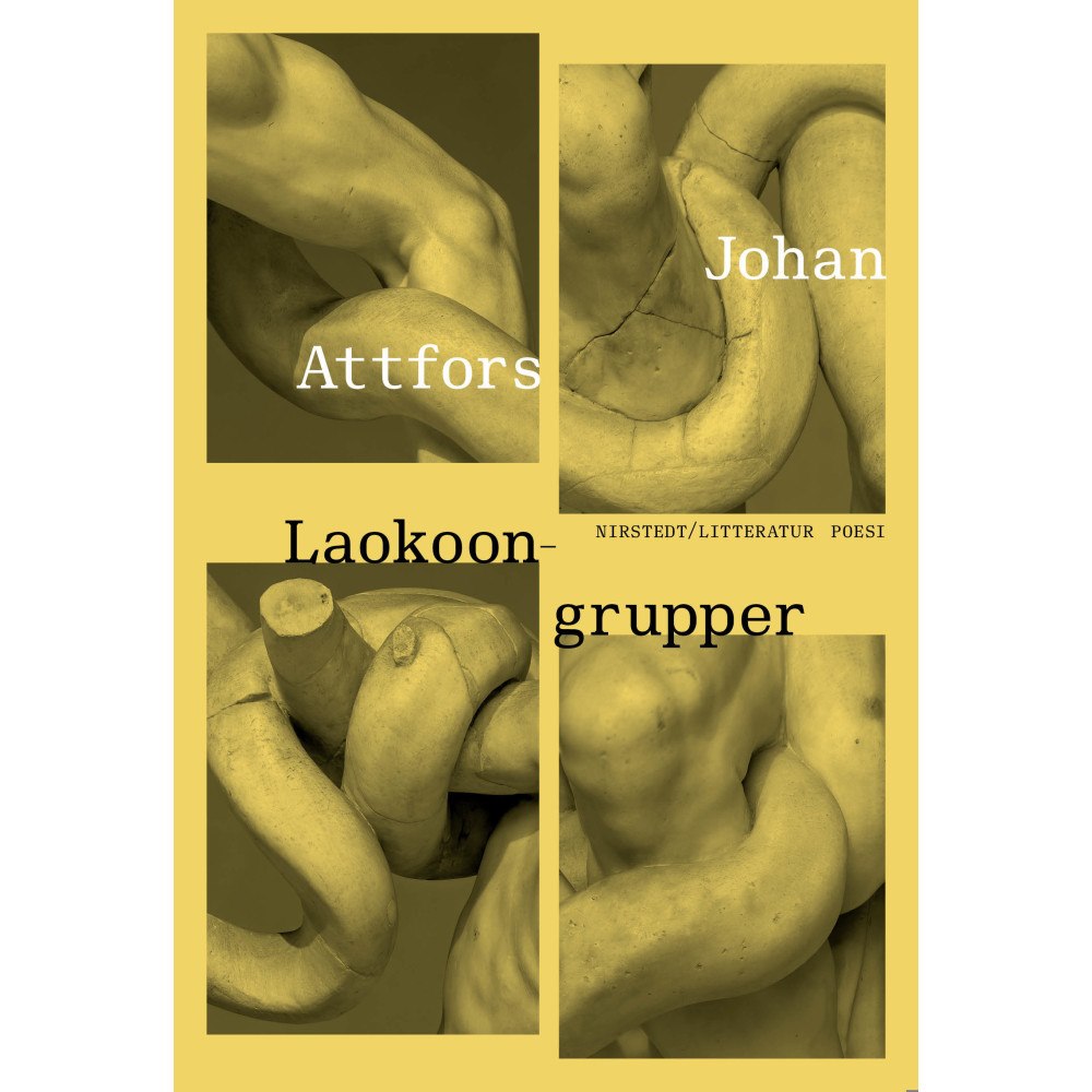 Nirstedt/litteratur Laokoongrupper (inbunden)