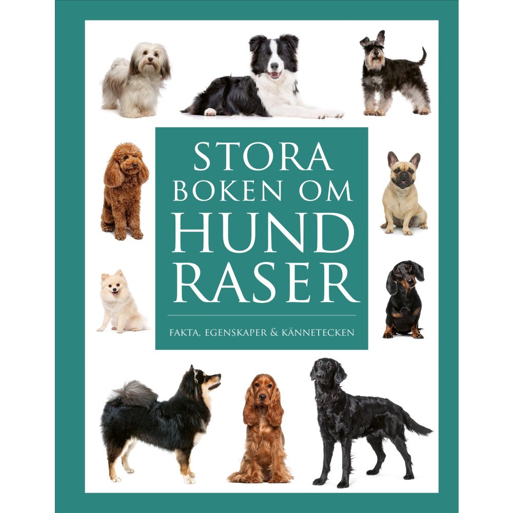 Bokförlaget Semic Stora boken om hundraser : Fakta, egenskaper och kännetecken (inbunden)
