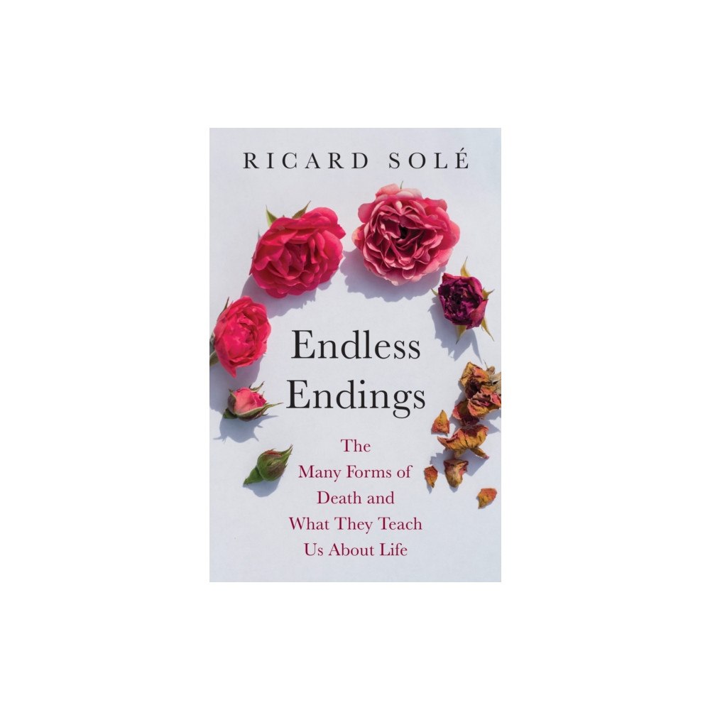 Princeton University Press Endless Endings (inbunden, eng)