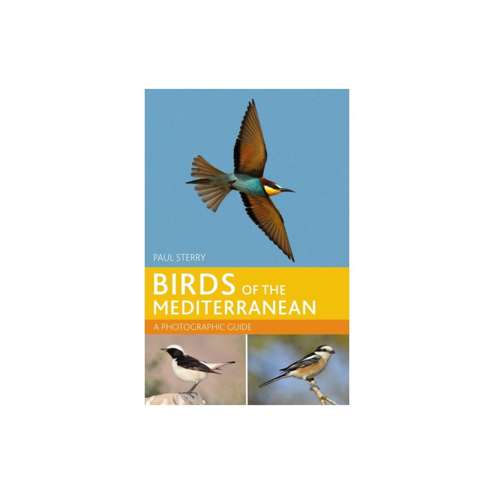 Bloomsbury Publishing PLC Birds of the Mediterranean: A Photographic Guide (häftad, eng)