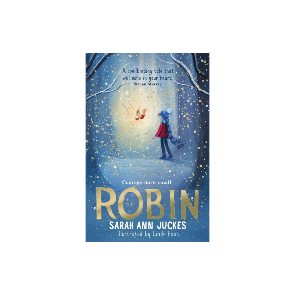 Simon & Schuster Ltd Robin (häftad, eng)