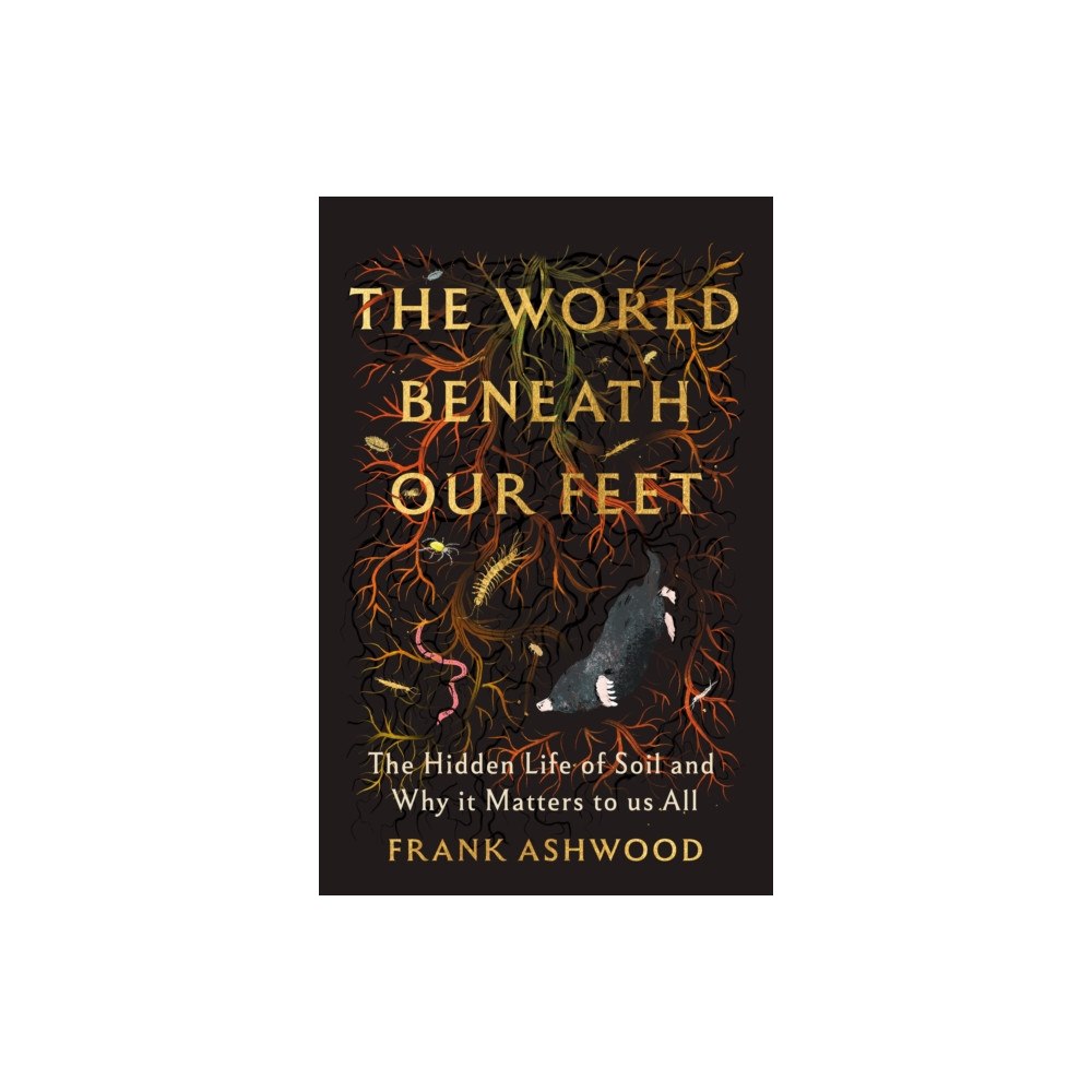 Hodder & Stoughton The World Beneath Our Feet (inbunden, eng)
