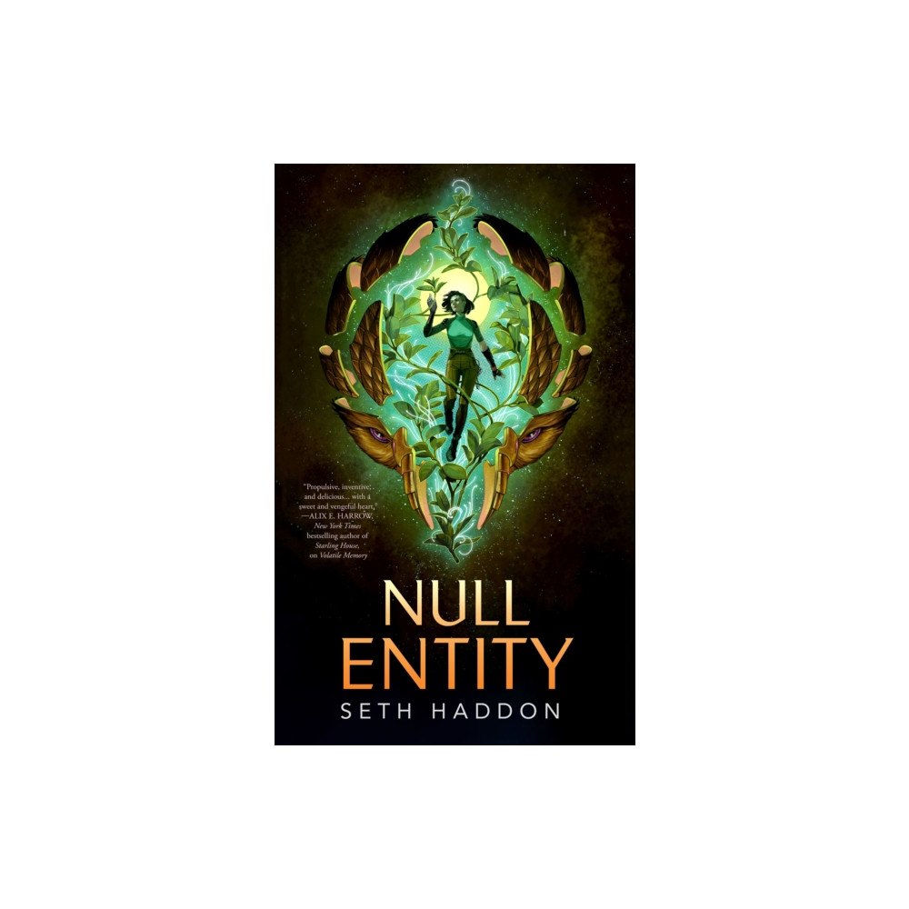 Tor Publishing Group Null Entity (inbunden, eng)