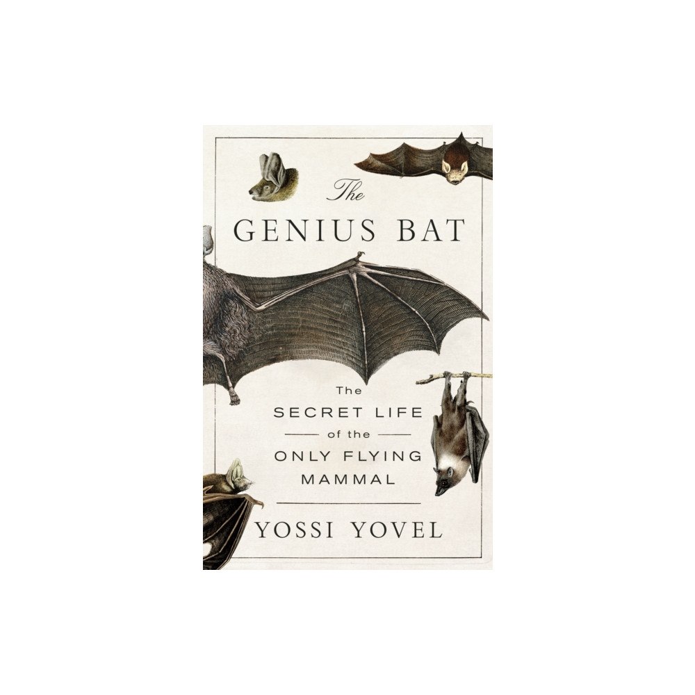 St. Martin's Publishing Group Genius Bat (häftad, eng)