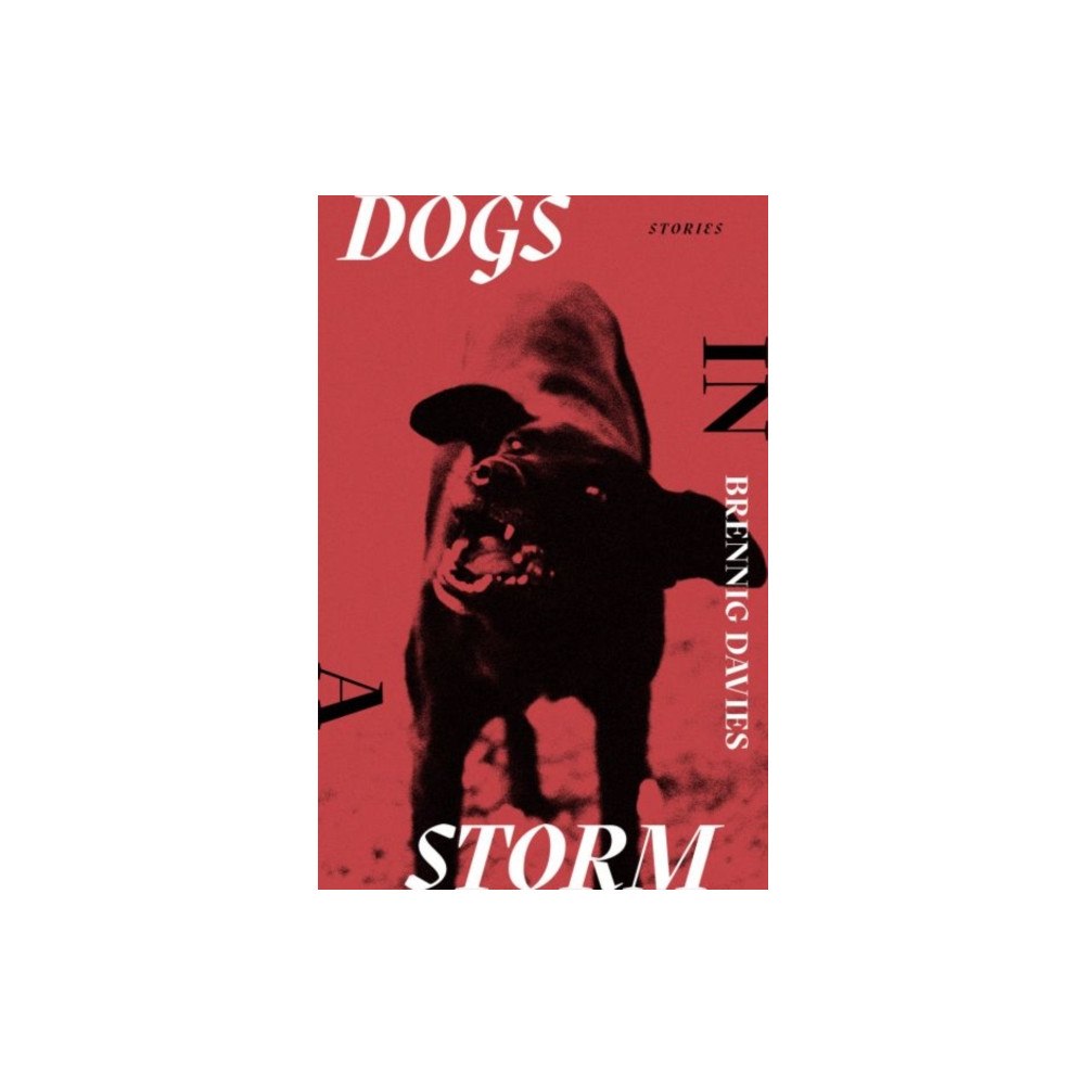 Parthian Books Dogs in a Storm (inbunden, eng)