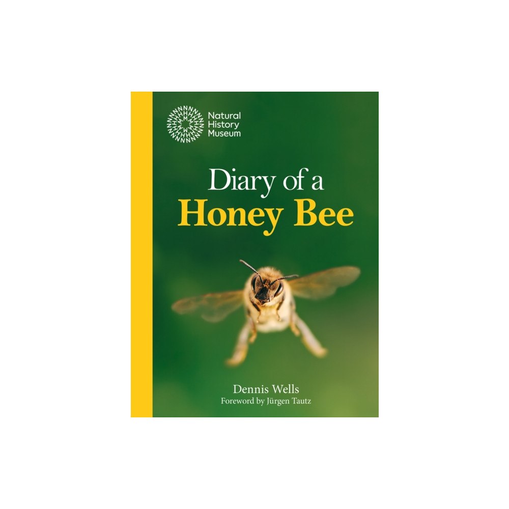The Natural History Museum Diary of a Honey Bee (inbunden, eng)