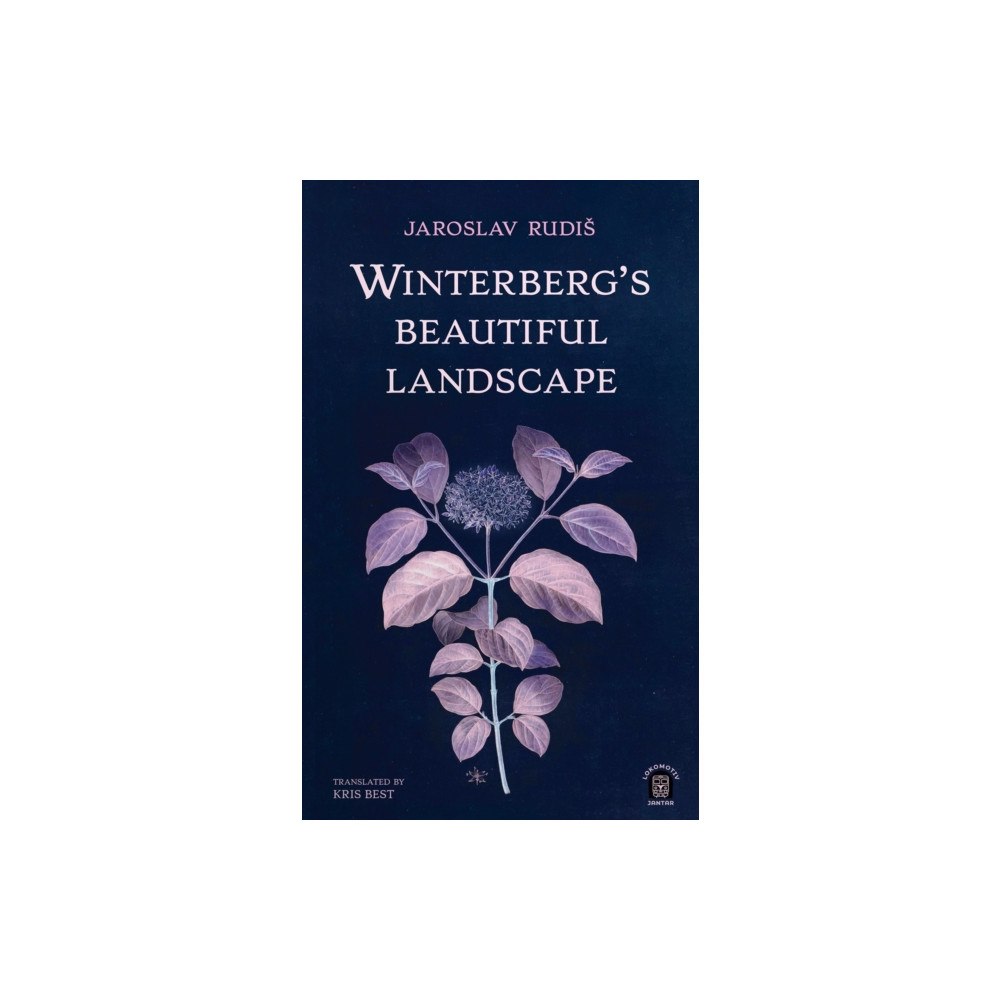 Jantar Publishing Ltd Winterberg's Beautiful Landscape (häftad, eng)