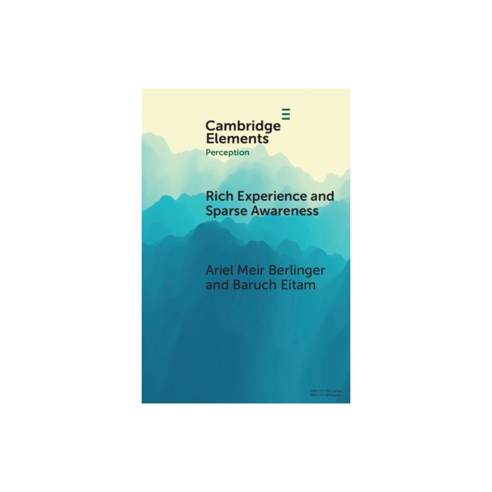 Cambridge University Press Rich Experience and Sparse Awareness (häftad, eng)