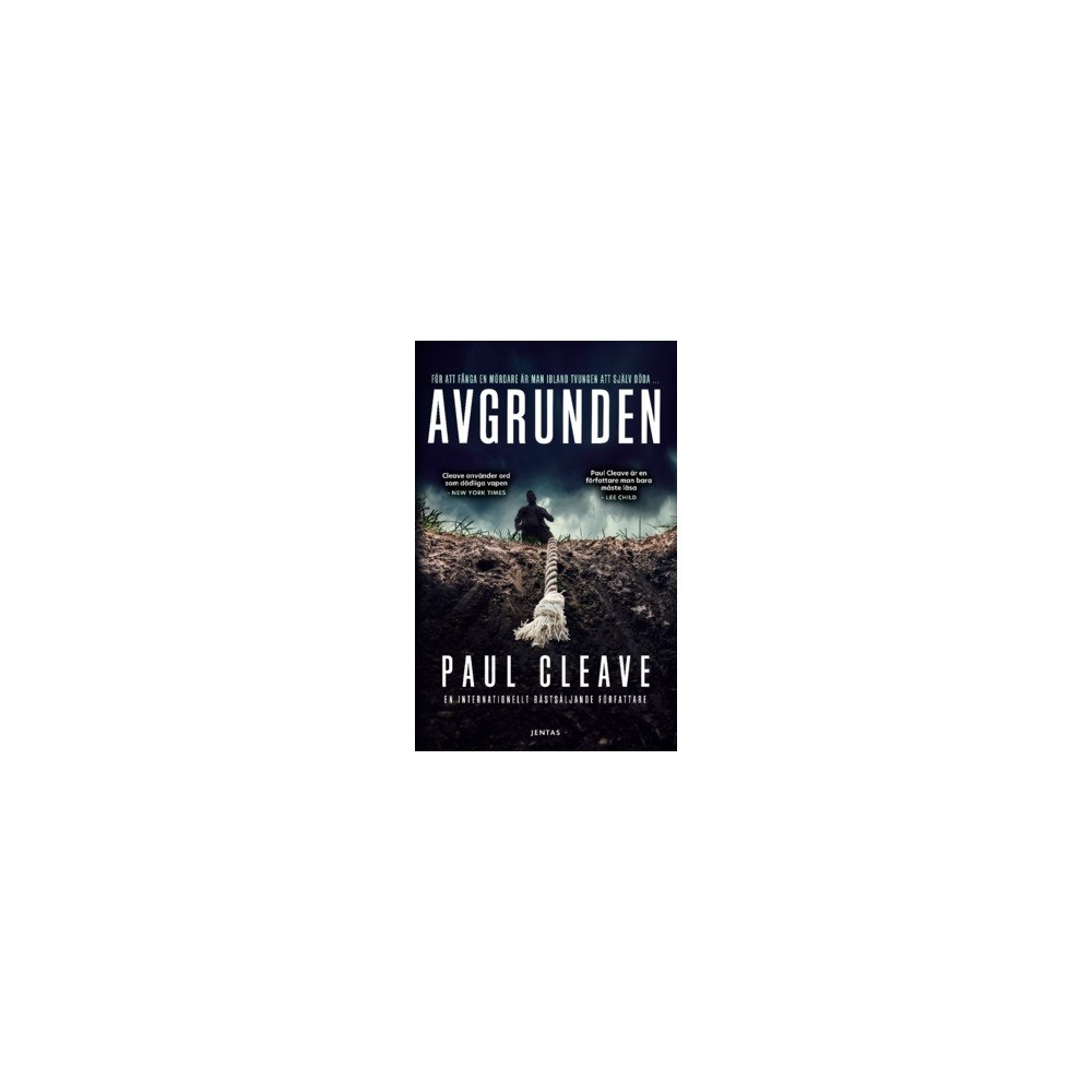 Paul Cleave Avgrunden (häftad)