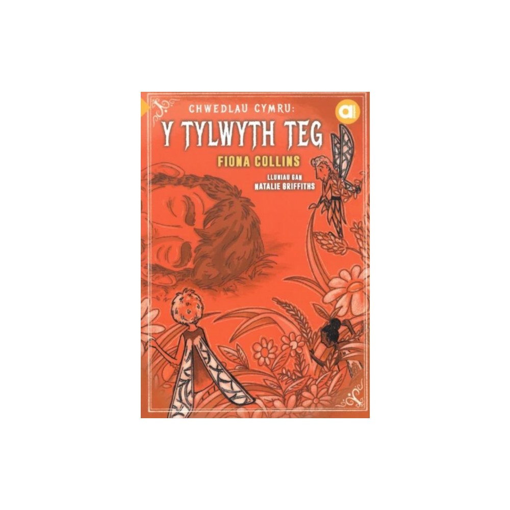 Gwasg Carreg Gwalch Cyfres Amdani: Chwedlau Cymru - Y Tylwyth Teg (häftad, wel)