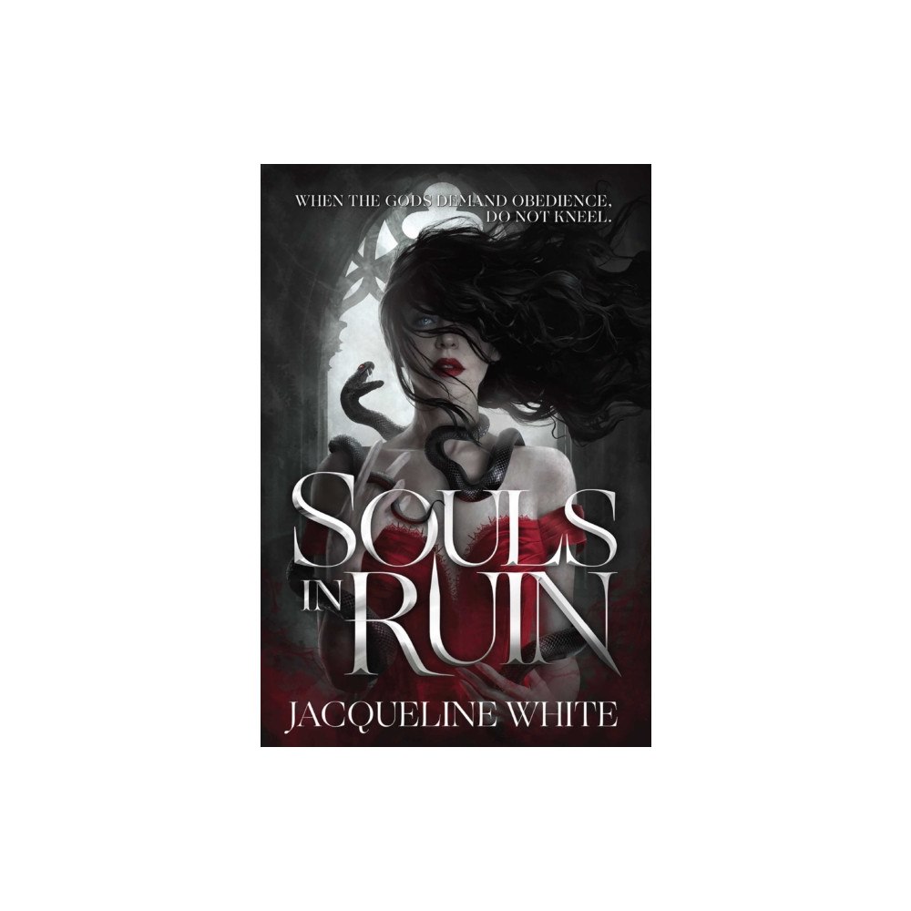 Solstice Books The Souls In Ruin (häftad, eng)