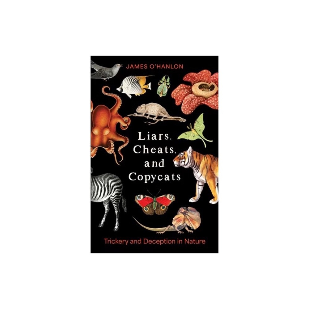 Columbia university press Liars, Cheats, and Copycats (häftad, eng)