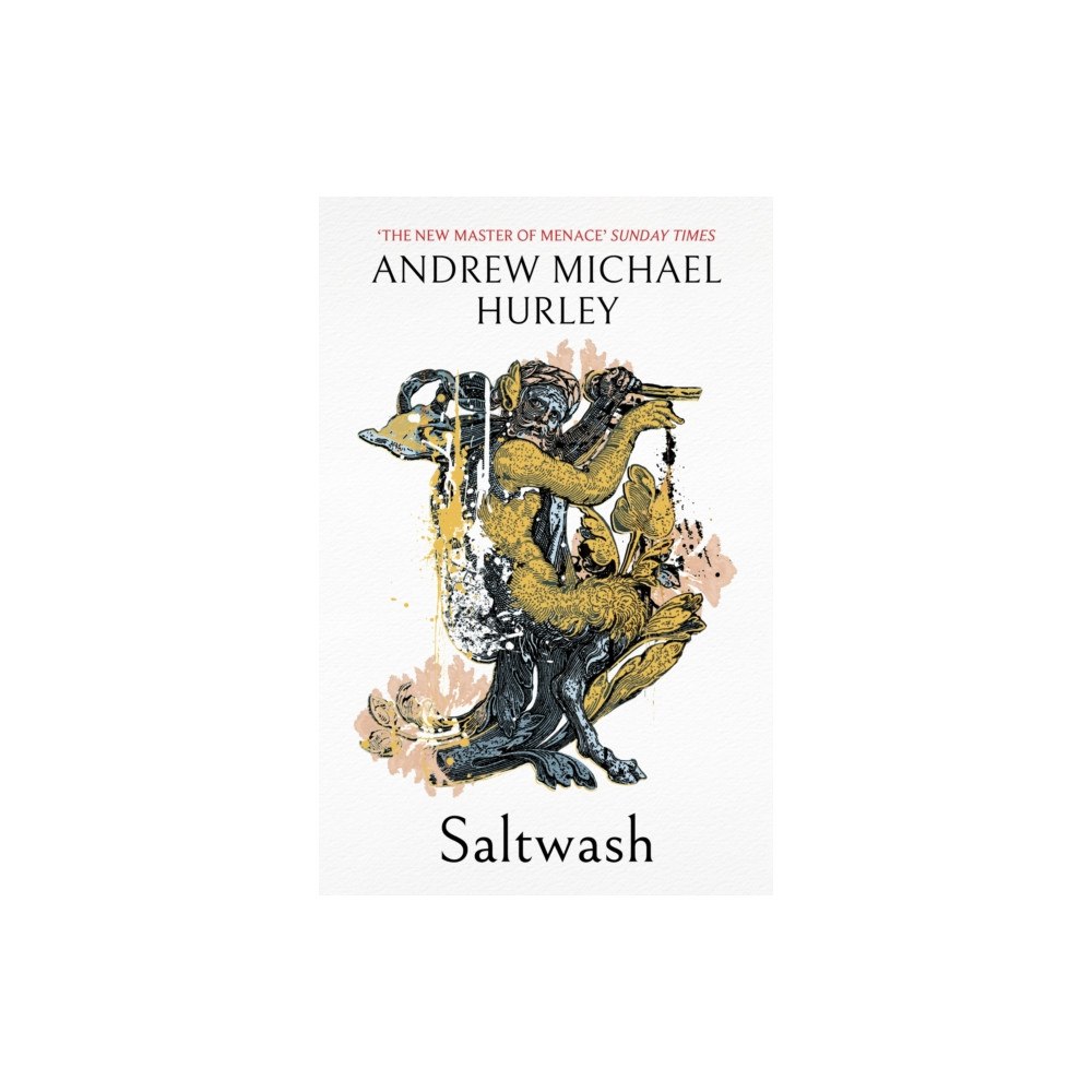 John Murray Press Saltwash (häftad, eng)