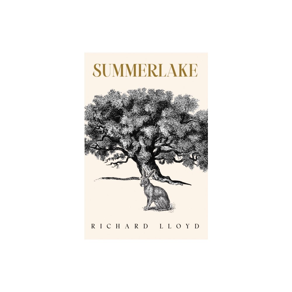 Pegasus Elliot Mackenzie Publishers Summerlake (häftad, eng)