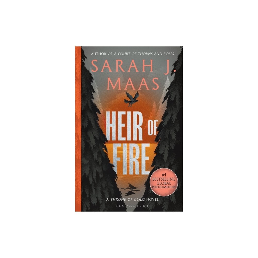 Sarah J. Maas Heir of Fire (pocket, eng) (Skadad)