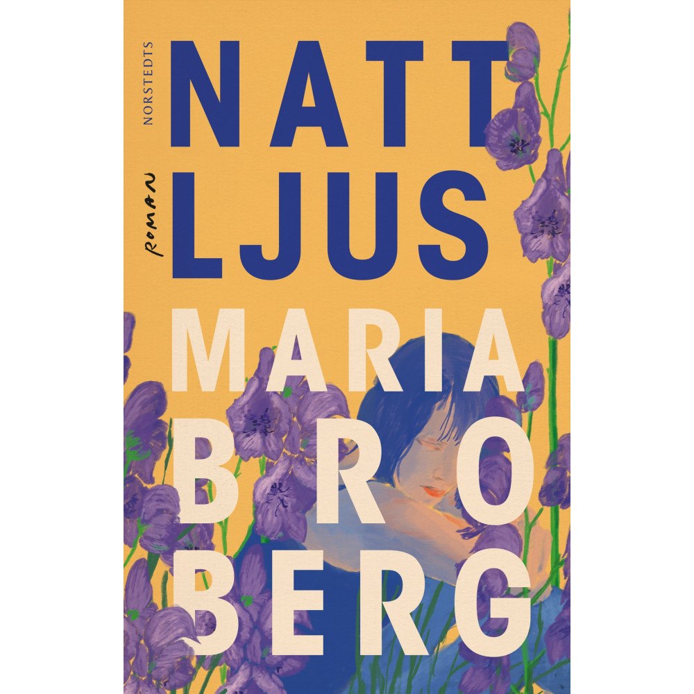 Maria Broberg Nattljus (inbunden)