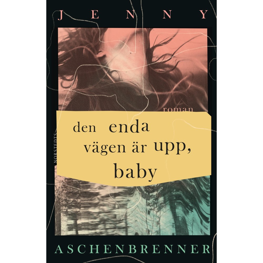 Jenny Aschenbrenner Den enda vägen är upp, baby (inbunden)