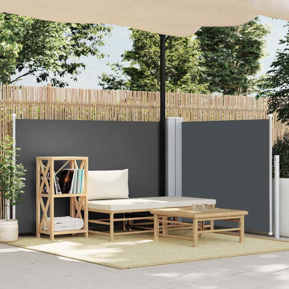 vidaXL Infällbar sidomarkis antracit 100x600 cm