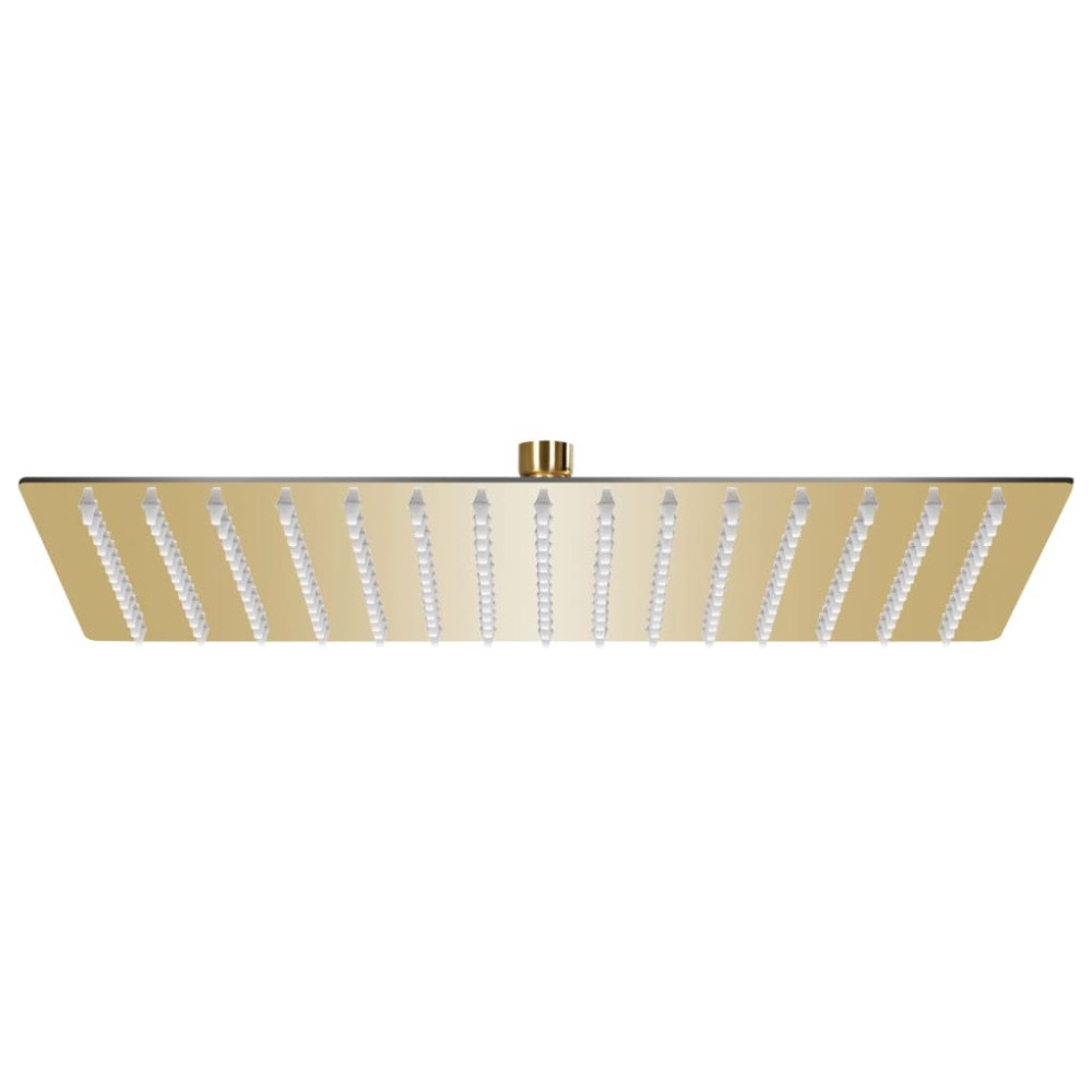 vidaXL Regnduschhuvud rostfritt stål 40x30 cm rektangulärt guld