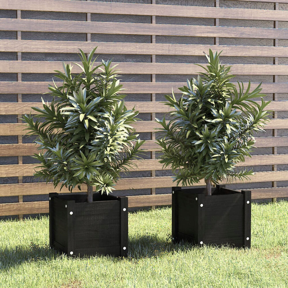vidaXL Odlingslådor 2 st svart 31x31x31 cm massiv furu