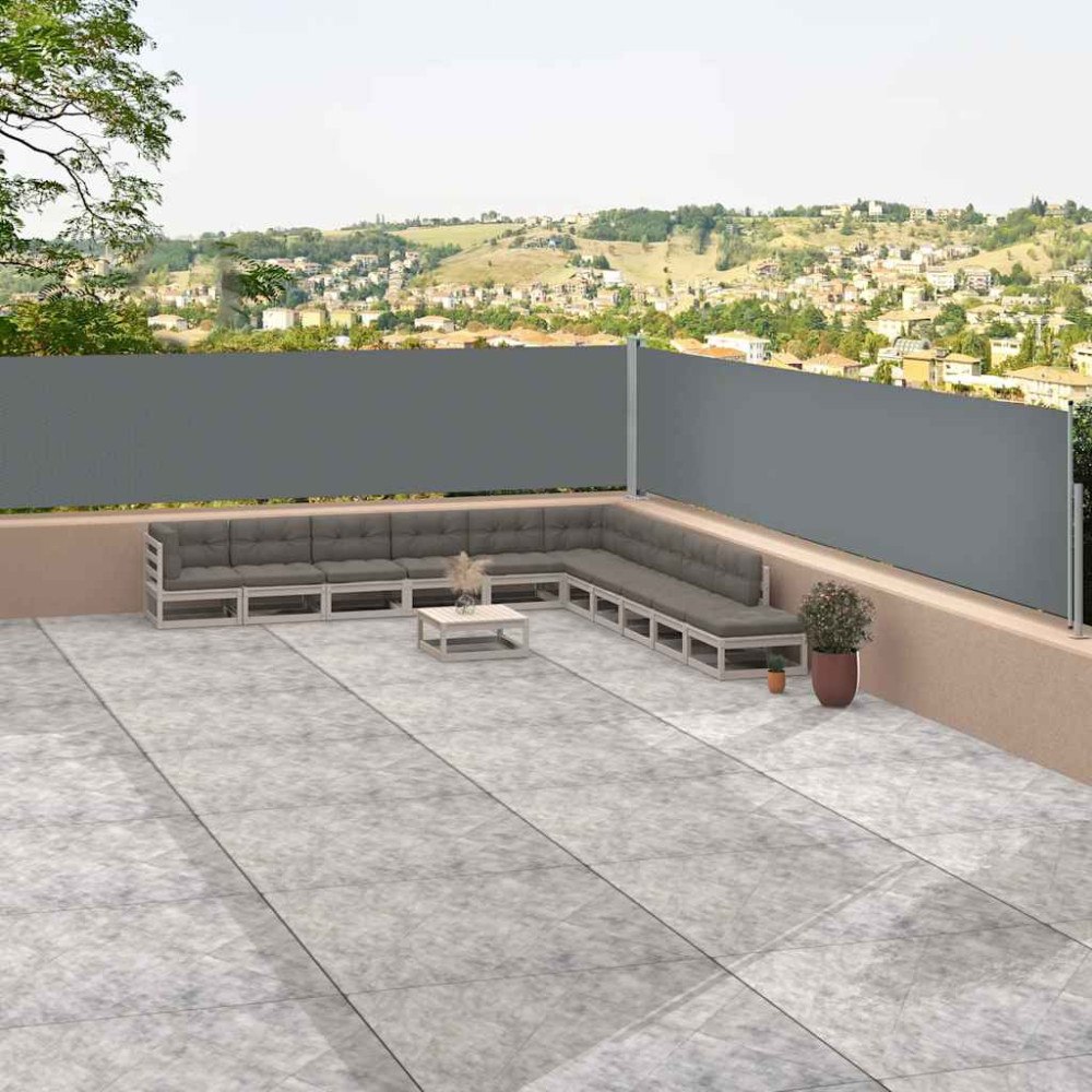 vidaXL Infällbar sidomarkis antracit 117x1200 cm